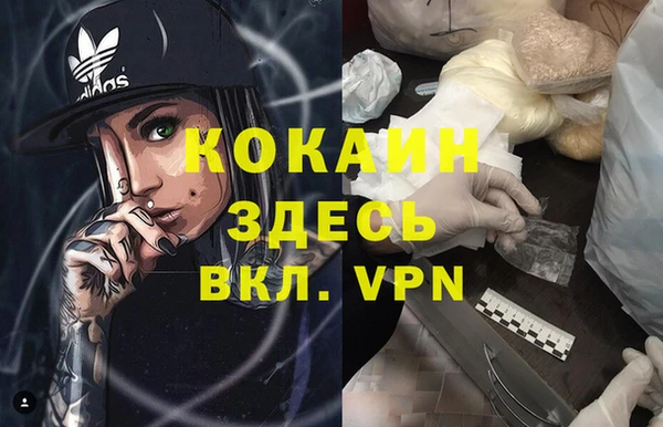 хмурый Алексин