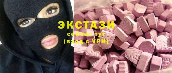 хмурый Алексин