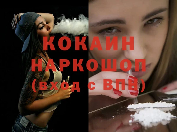 хмурый Алексин