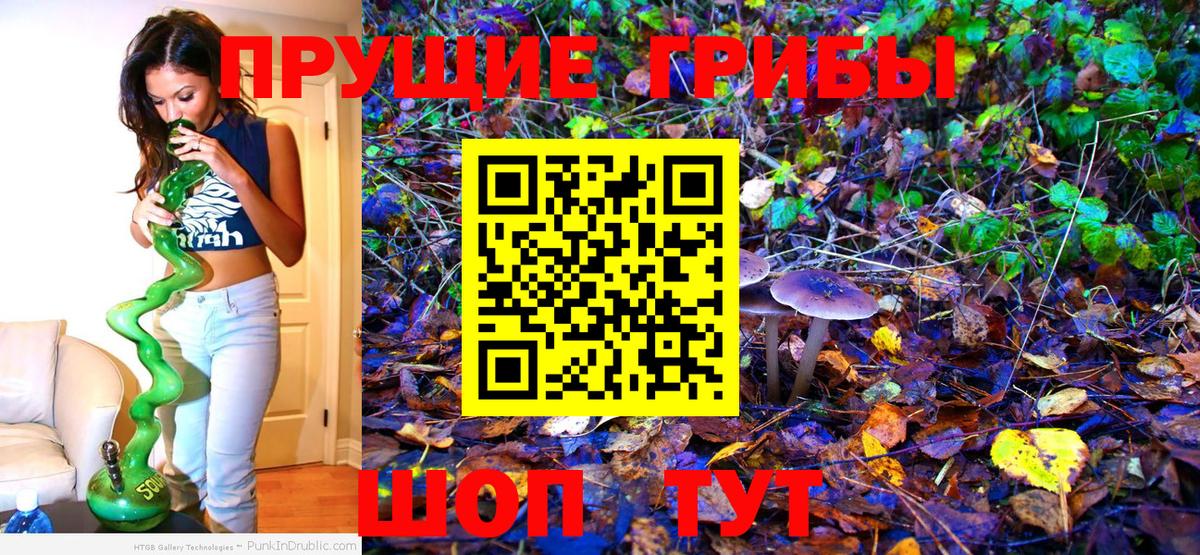Галлюциногенные грибы Psilocybine cubensis  Вход с VPN  Солнечногорск  Псилоцибиновые грибы GOLDEN TEACHER 